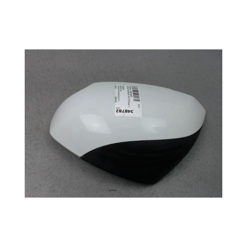 CARENAGE RETROVISEUR EXTERIEUR GAUCHE RENAULT SCENIC MONOSP. III Phase 1 2009-2011