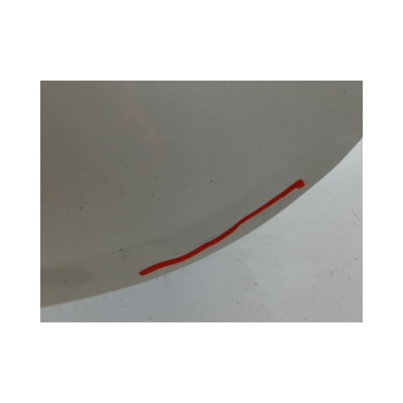 PORTE ARRIERE GAUCHE RENAULT CLIO III Phase 2 2009-2014