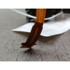 COMMANDE CLIGNOTANT BMW SERIE 3 BERL. V Phase 1 (E90) 2005-2008