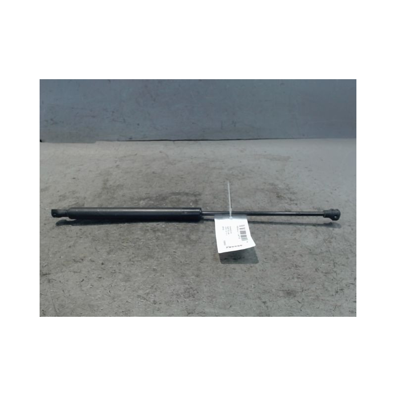 VERIN HAYON G RENAULT CAPTUR
