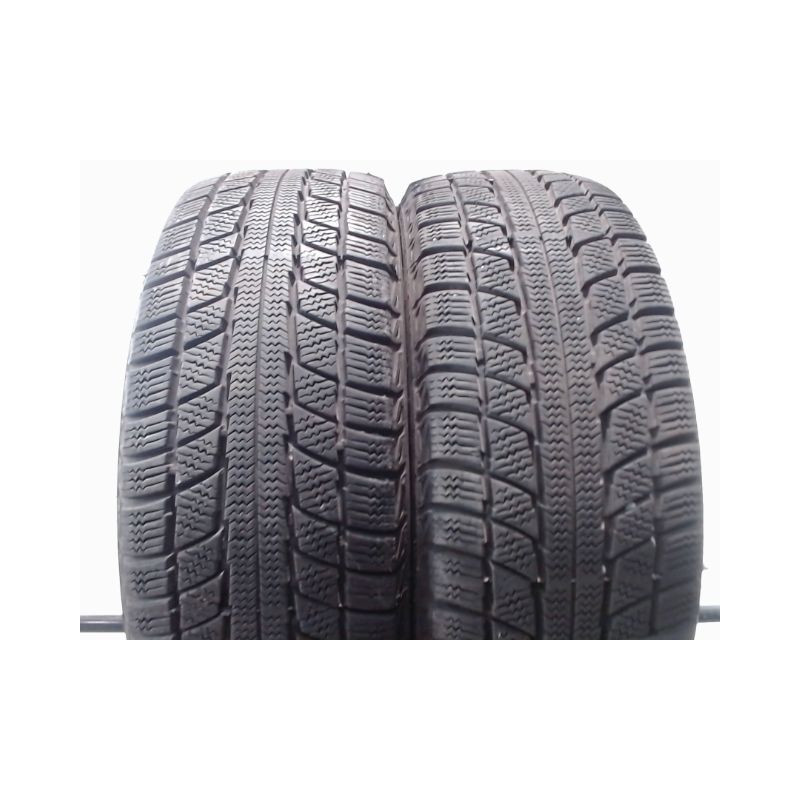 Paire de pneus TRIANGLE SNOW LION 175 85 14 86 T