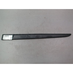 PROTECTION PORTE ARG