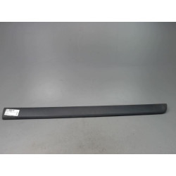 PROTECTION PORTE AVD