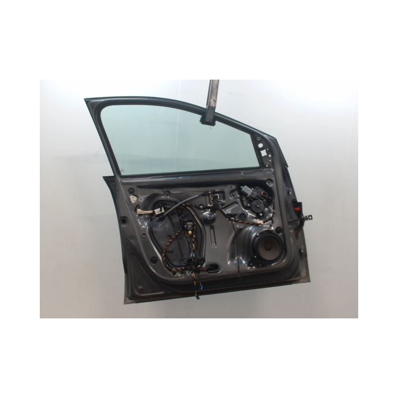 PORTE AVANT GAUCHE VOLKSWAGEN POLO V Phase 1 (6R) 2009-...