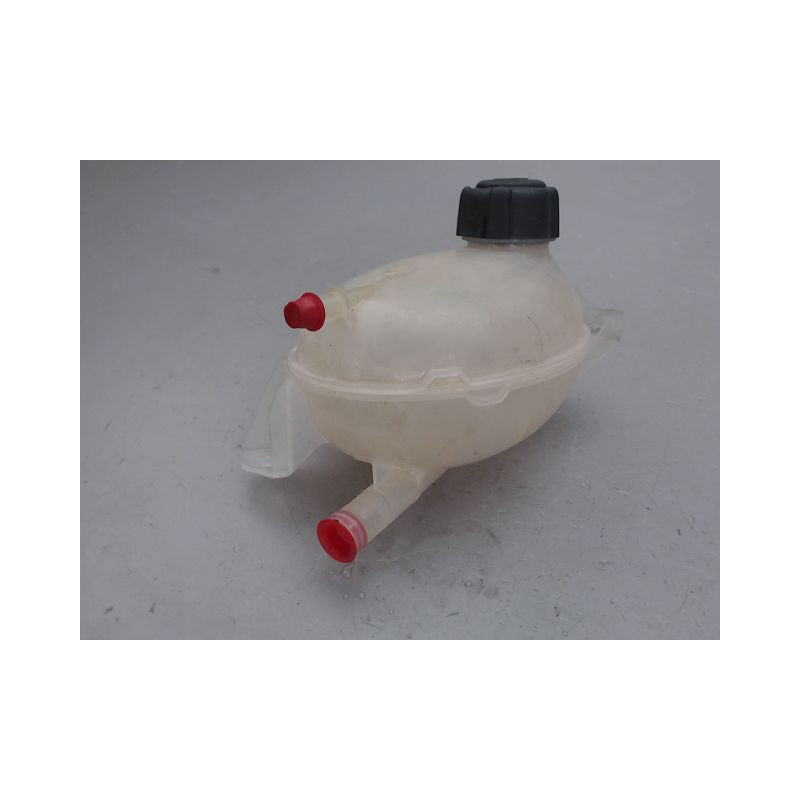 VASE EXPANSION RENAULT CLIO