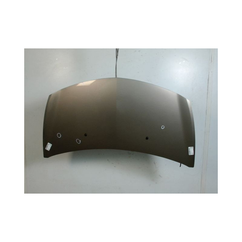 CAPOT RENAULT CLIO