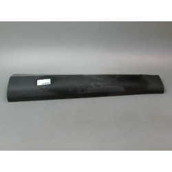 PROTECTION PORTE AVD