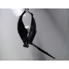 PARE-BOUE AVANT DROIT PEUGEOT 407