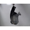PARE-BOUE AVANT DROIT CITROEN C5 2004-2008