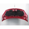 CAPOT CITROEN DS3