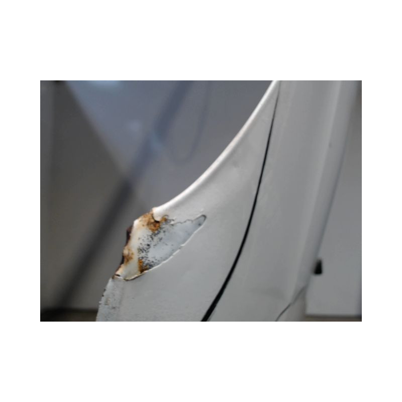 CAPOT CITROEN C3 2009-