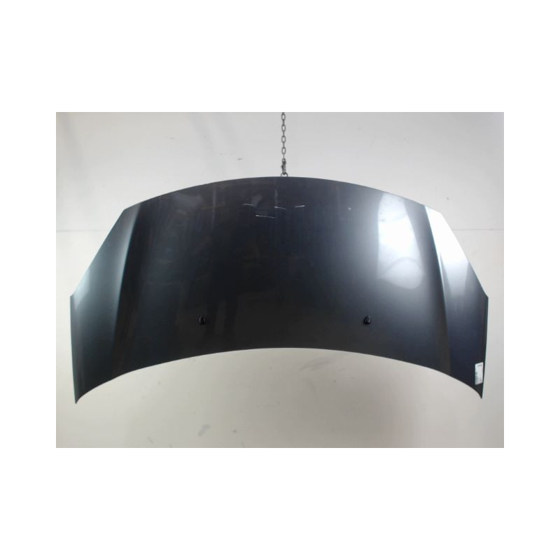 CAPOT CITROEN C3 2009-