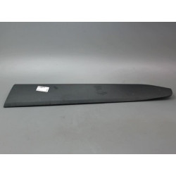 PROTECTION PORTE AVD