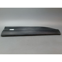 PROTECTION PORTE AVD