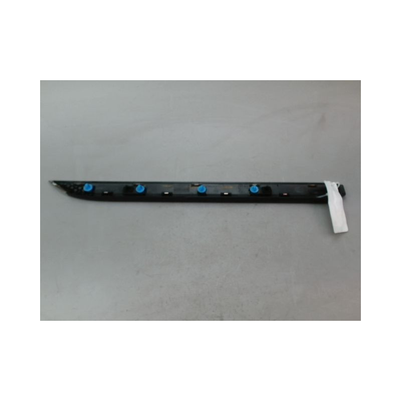 PROTECTION PORTE ARRIERE GAUCHE RENAULT CLIO