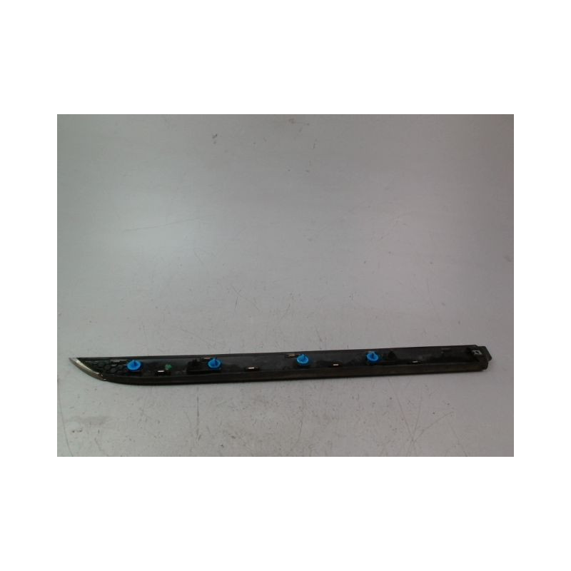 PROTECTION PORTE ARRIERE GAUCHE RENAULT CLIO