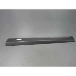 PROTECTION PORTE AVD