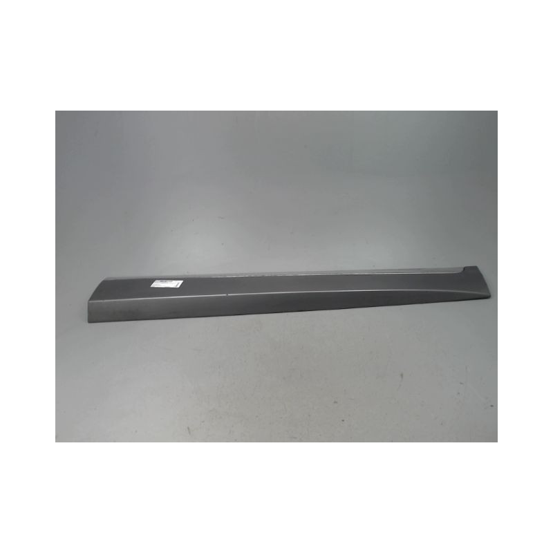 PROTECTION PORTE AVANT DROIT RENAULT SCENIC MONOSP. III Phase 3 2013-...