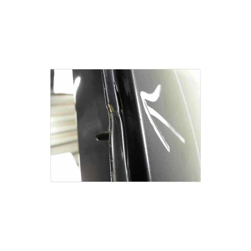 PORTE ARRIERE GAUCHE RENAULT CLIO III PH.1 05-09