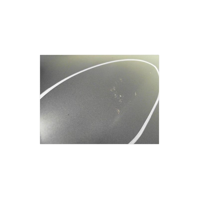PORTE ARRIERE GAUCHE RENAULT CLIO III PH.1 05-09