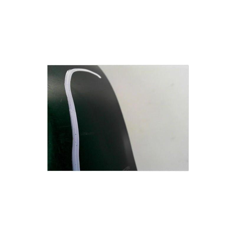 PORTE AVANT GAUCHE RENAULT CLIO II PH.1 98-2001