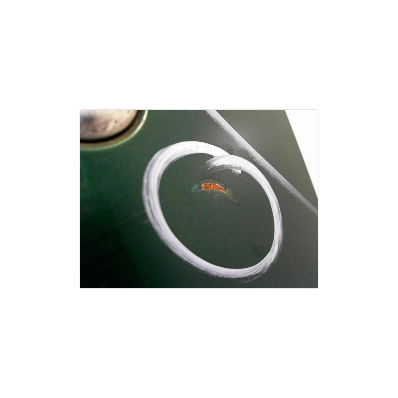 PORTE AVANT GAUCHE RENAULT CLIO II PH.1 98-2001