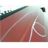 PORTE ARRIERE GAUCHE RENAULT CLIO III PH.1 05-09