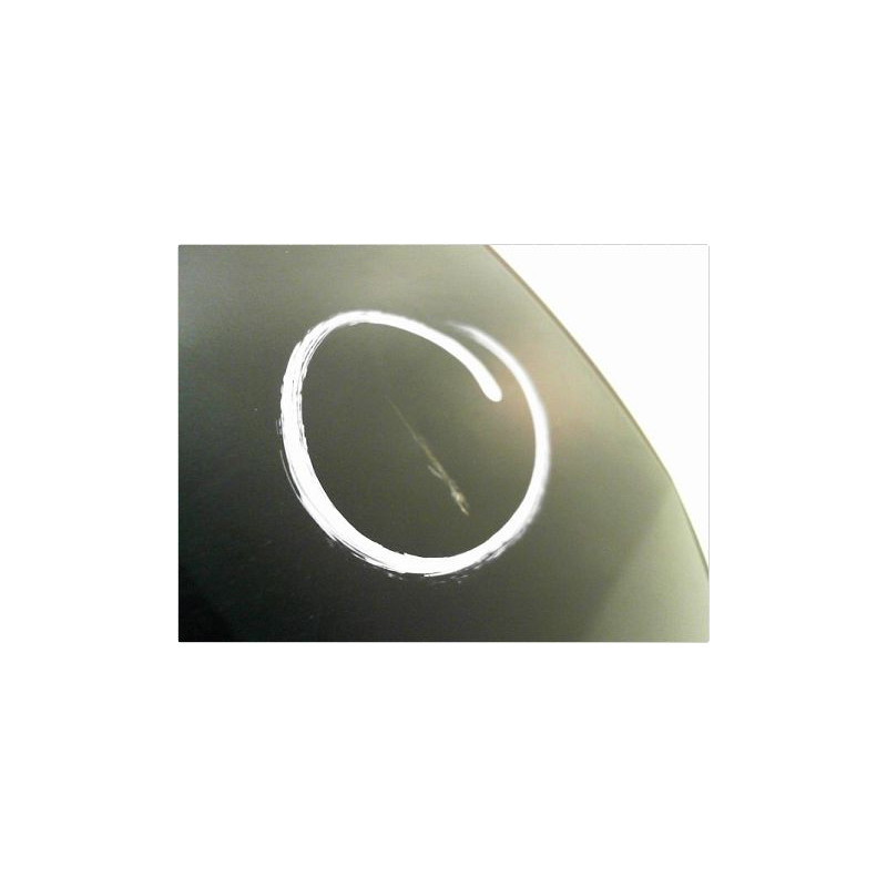 PORTE AVANT DROIT RENAULT LAGUNA III ESTATE 07-10