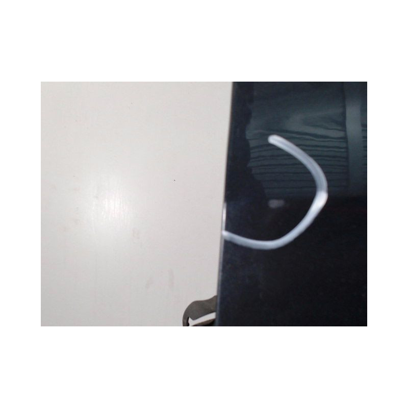 PORTE AVANT GAUCHE RENAULT CLIO III PH.1 ESTATE 2008-2009