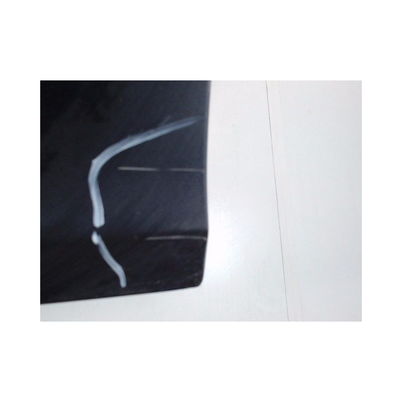PORTE AVANT GAUCHE RENAULT CLIO III PH.1 ESTATE 2008-2009