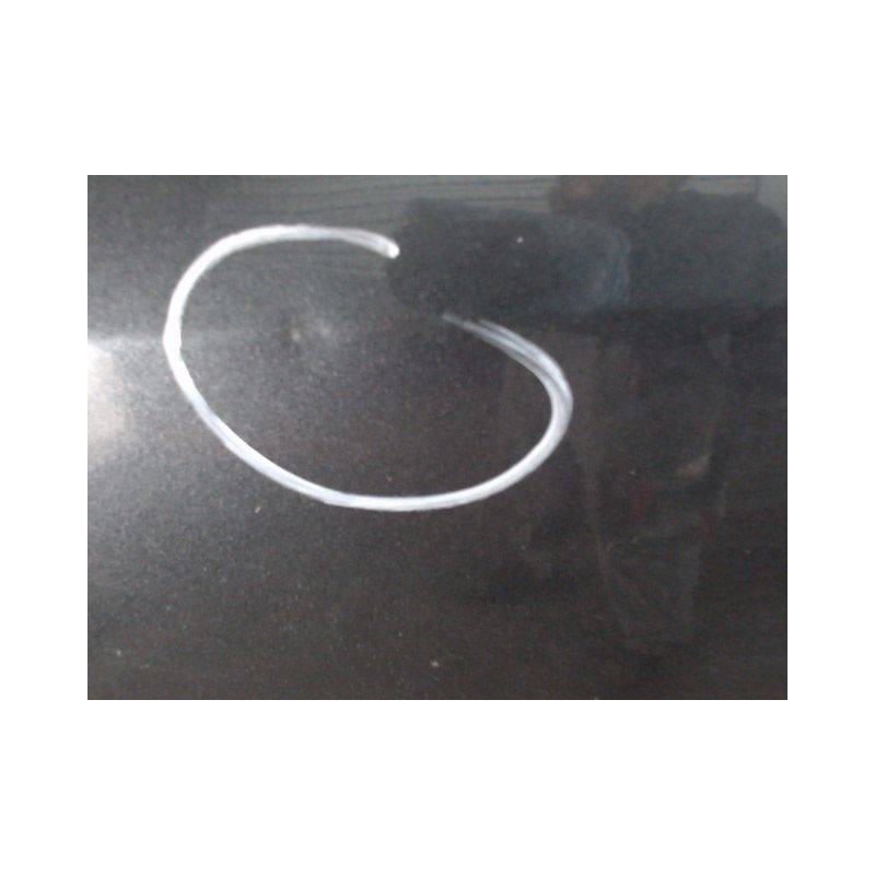 PORTE AVANT GAUCHE RENAULT CLIO III PH.1 ESTATE 2008-2009