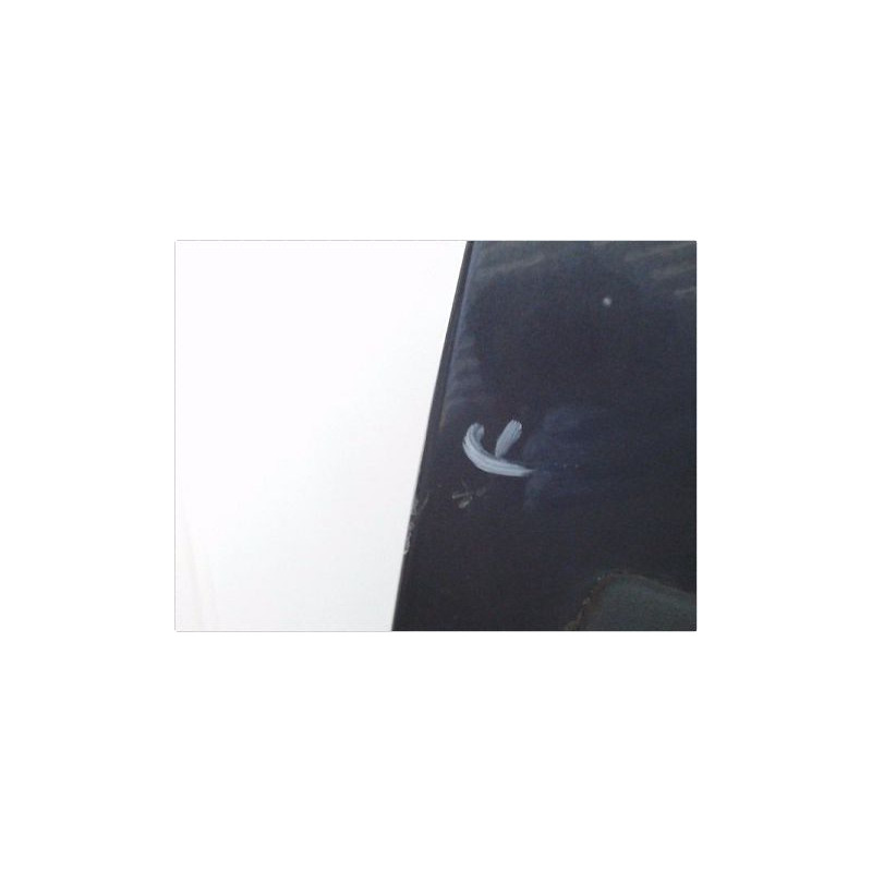 PORTE AVANT GAUCHE FORD FOCUS