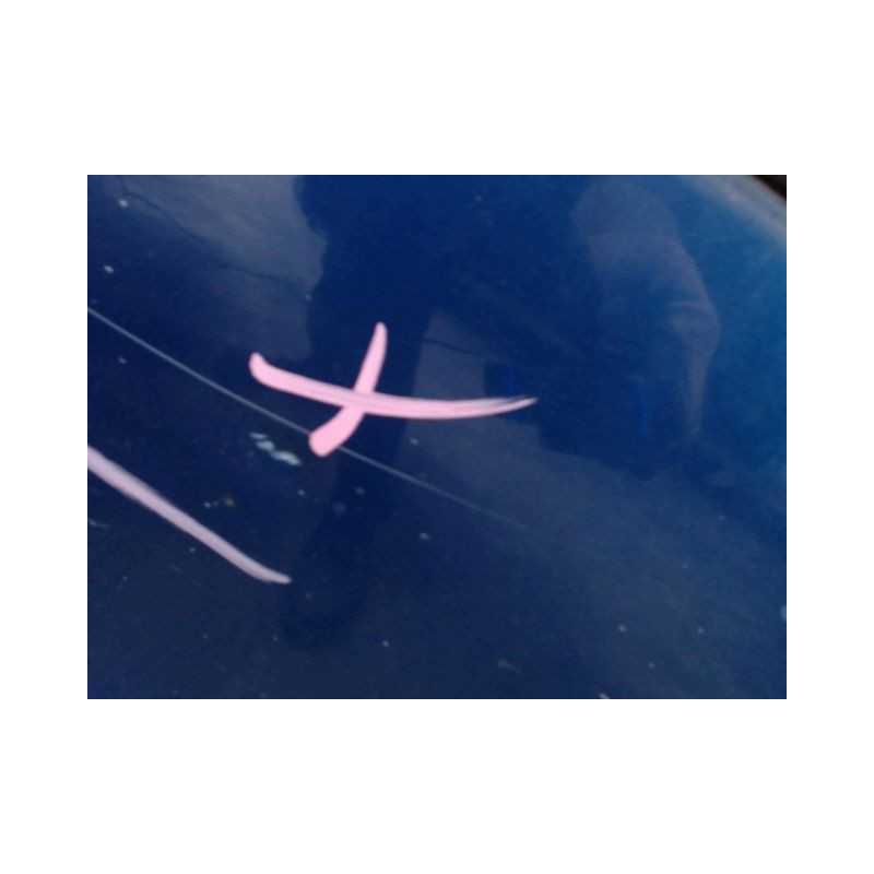 PORTE AVANT GAUCHE RENAULT CLIO III 2009-