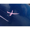 PORTE AVANT GAUCHE RENAULT CLIO III 2009-