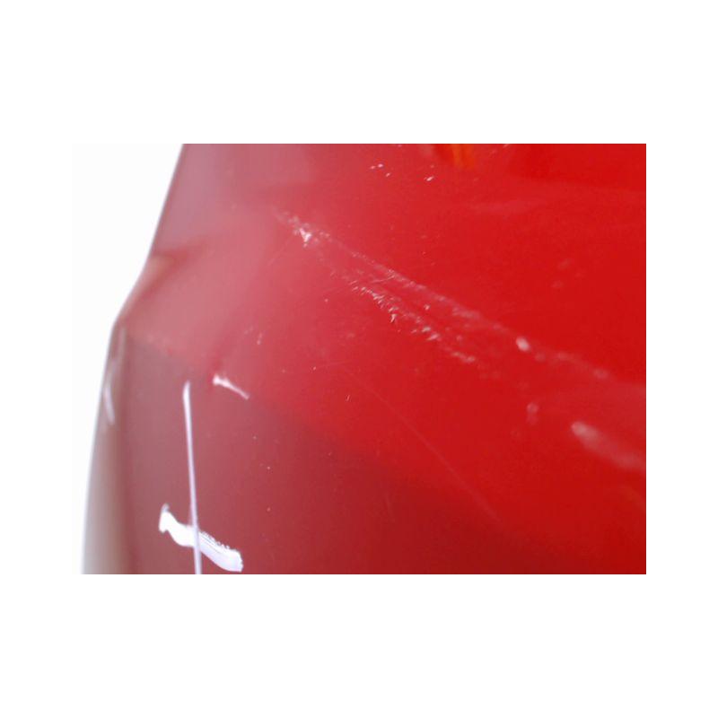 PORTE AVANT GAUCHE RENAULT CLIO III 2009-