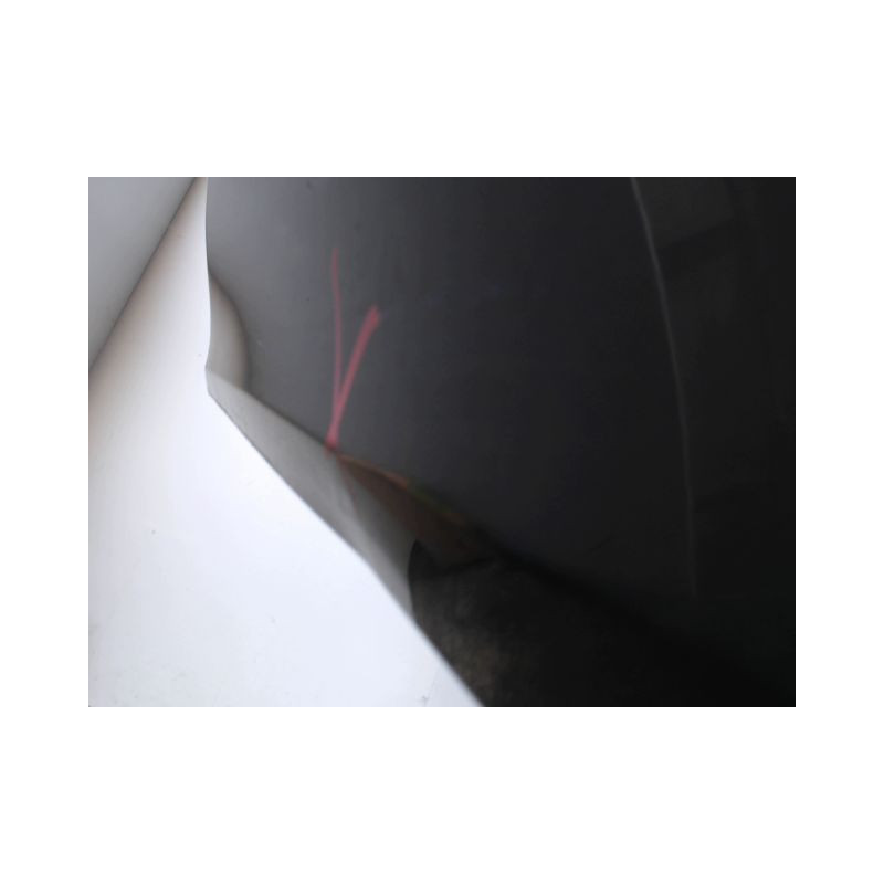 PORTE AVANT DROIT RENAULT CLIO III 2009-