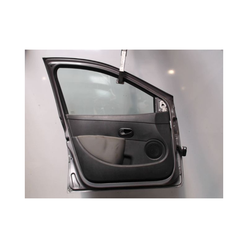 PORTE AVANT GAUCHE RENAULT CLIO III 2009-