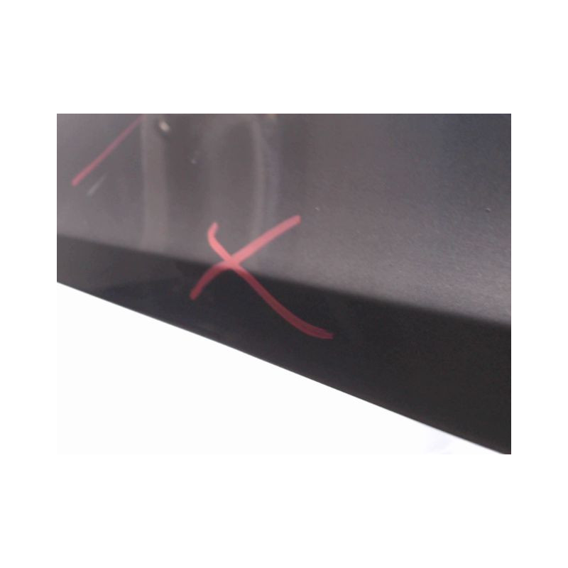 PORTE AVANT GAUCHE RENAULT CLIO III 2009-