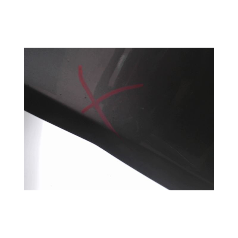 PORTE AVANT GAUCHE RENAULT CLIO III 2010-