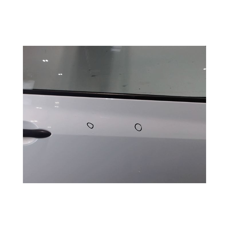 PORTE AVANT DROIT RENAULT CLIO