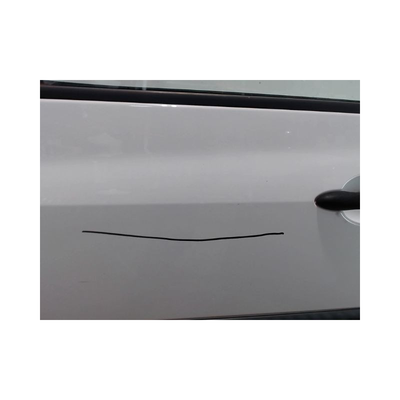 PORTE AVANT GAUCHE RENAULT CLIO III 2009-