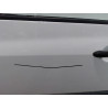 PORTE AVANT GAUCHE RENAULT CLIO III 2009-