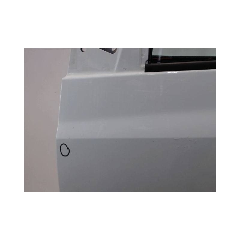 PORTE AVANT GAUCHE RENAULT CLIO III 2009-