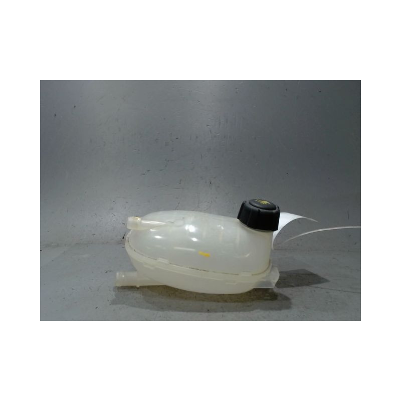 VASE EXPANSION DACIA SANDERO
