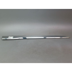 PROTECTION PORTE AVD