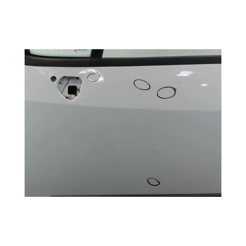 PORTE AVANT GAUCHE RENAULT MODUS 2004-2007