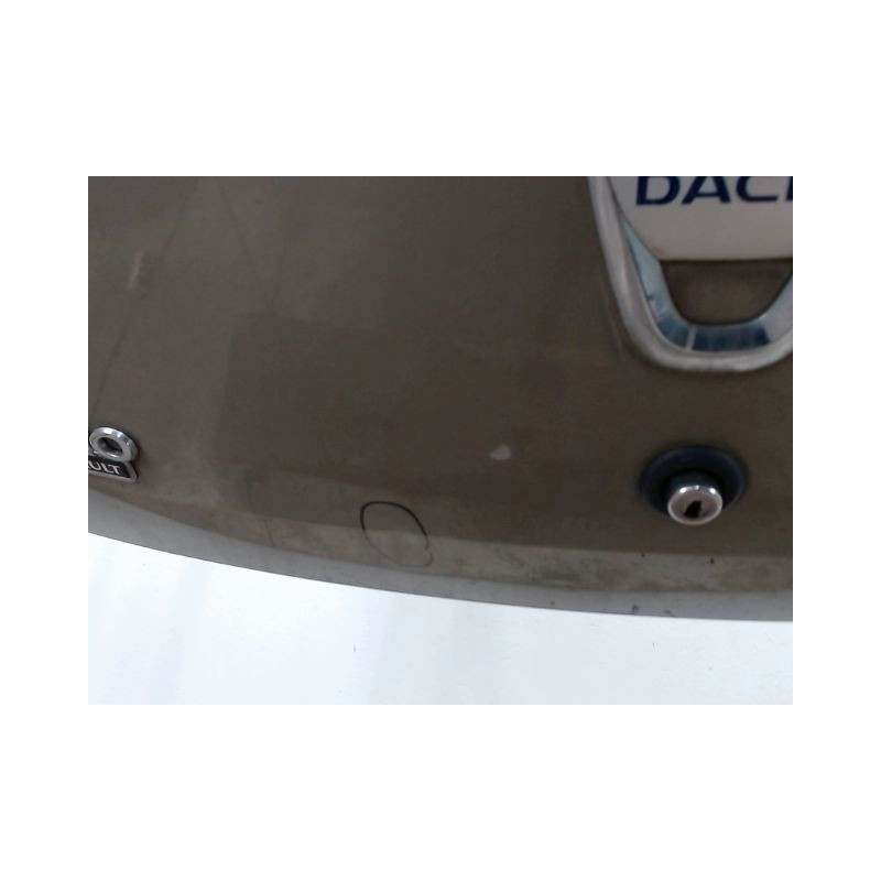 HAYON DACIA SANDERO 2008-