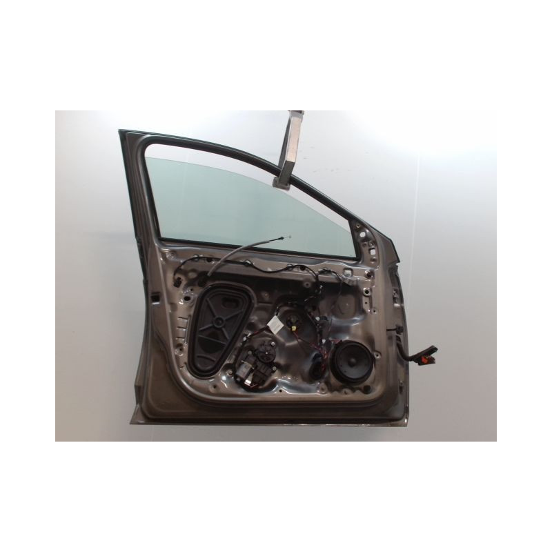 PORTE AVANT GAUCHE VOLKSWAGEN POLO 2009-