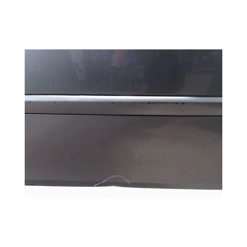 PORTE AVANT GAUCHE RENAULT CLIO III 2009-