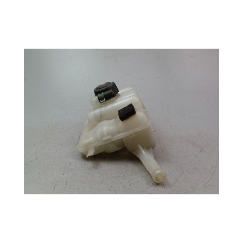 VASE EXPANSION RENAULT IV